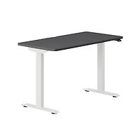 Branch Duo Standing Desk Charcoal/White Base