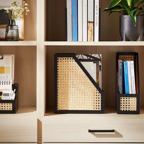 The Container Store Aritsan Rattan Cane Magazine File