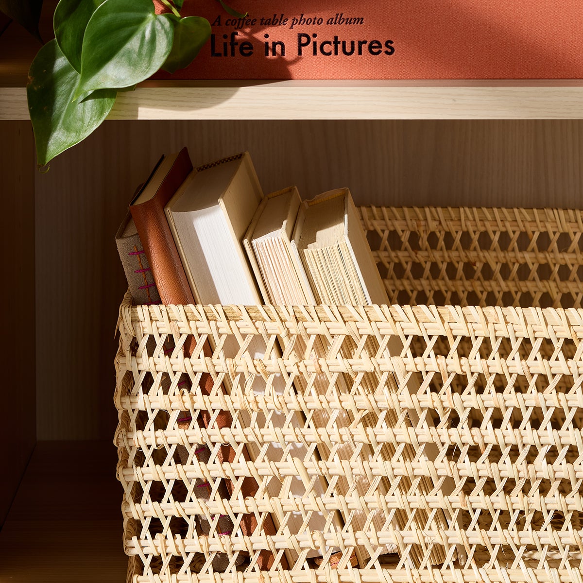 The Container Store Santorini Rattan Bins