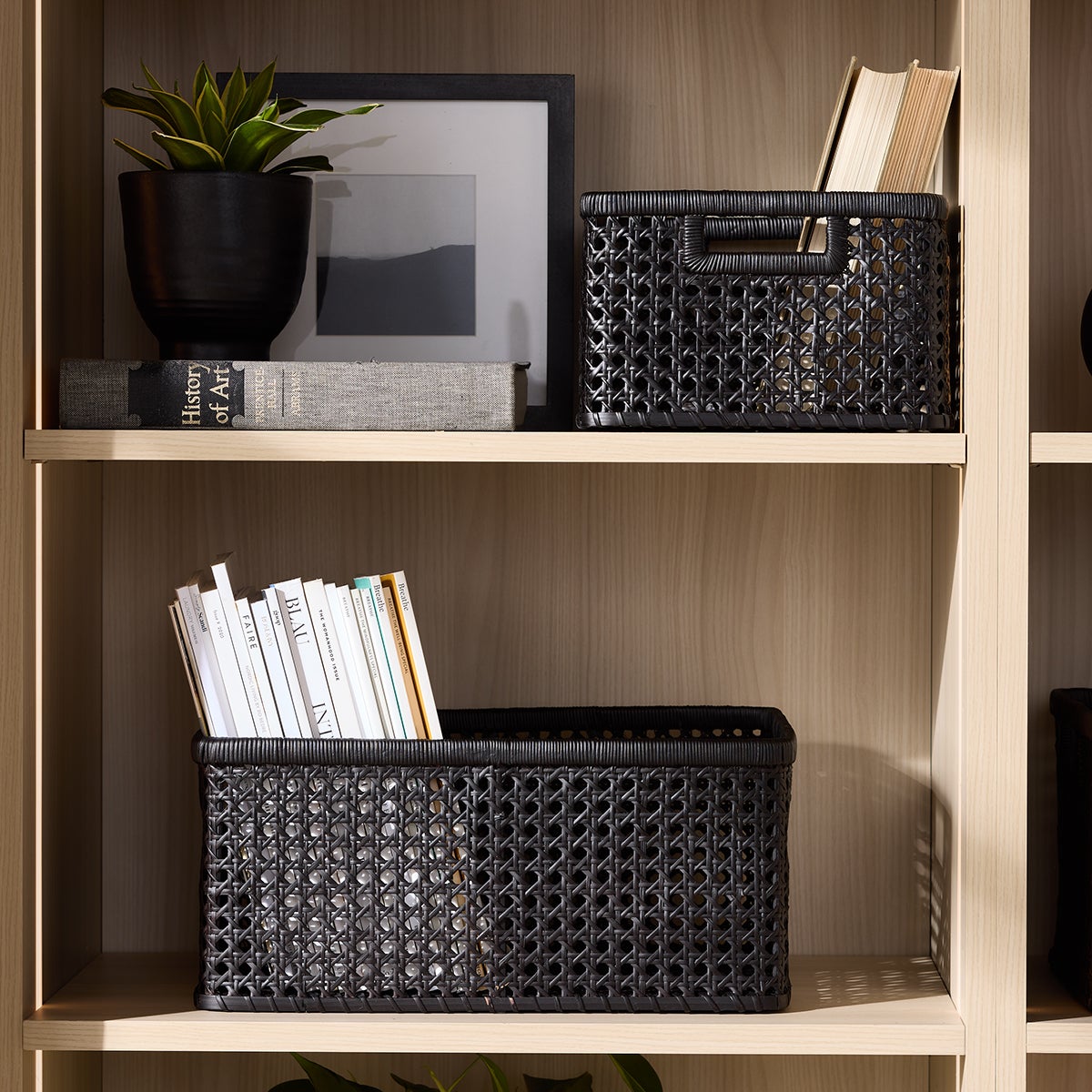 Albany Cane Rattan Bins