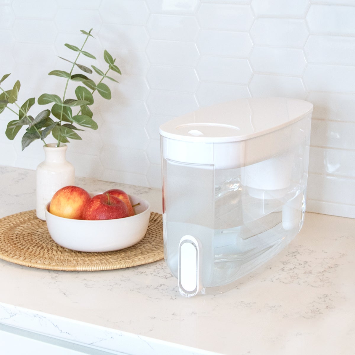 LifeStraw Home 18-Cup Water Filter Dispenser | The Container Store