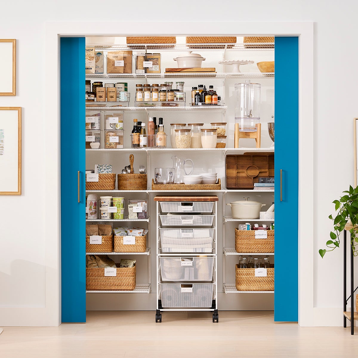 Container store pantry shelves discount