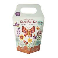 Modern Sprout Seed Ball Wildflowers