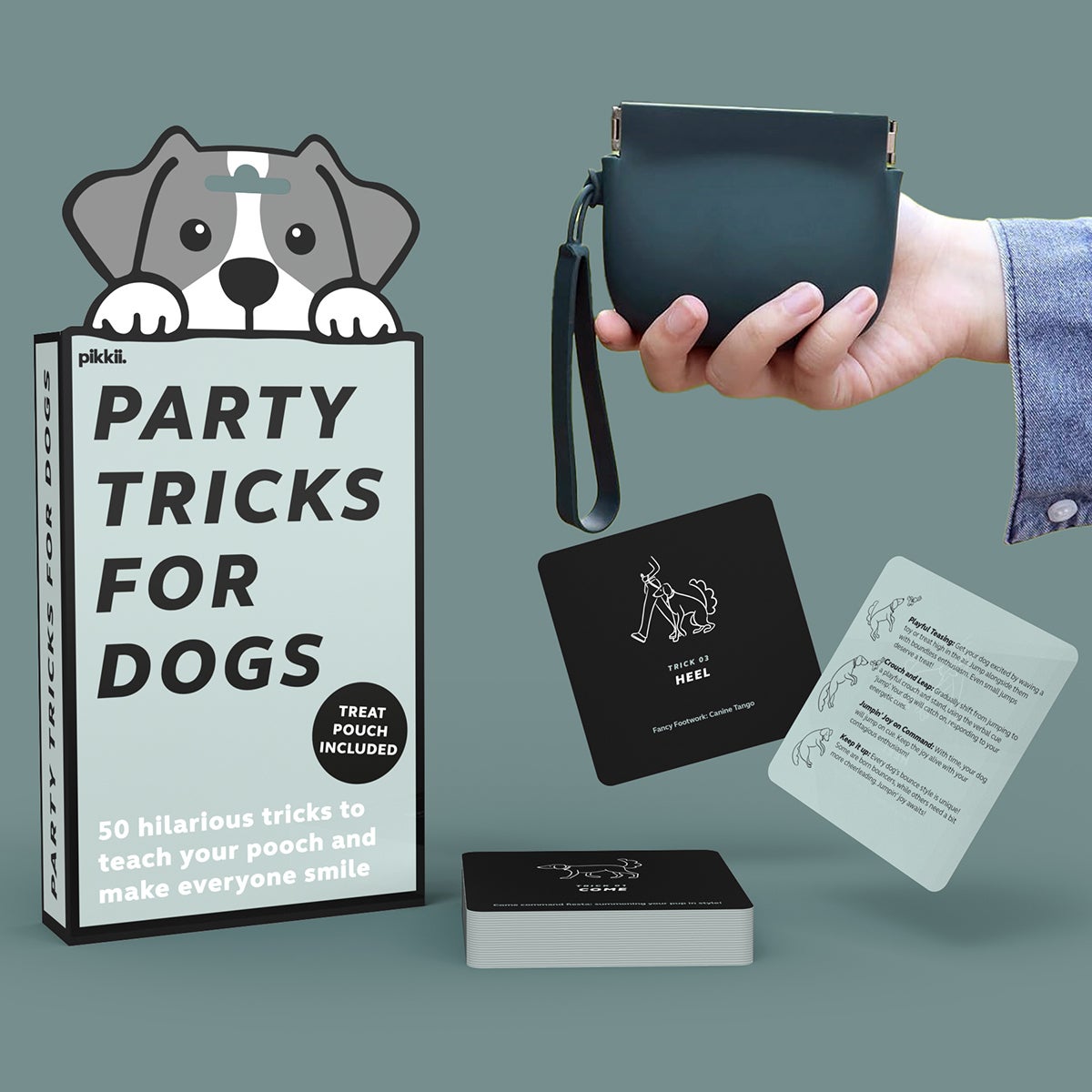Party Tricks for Dogs