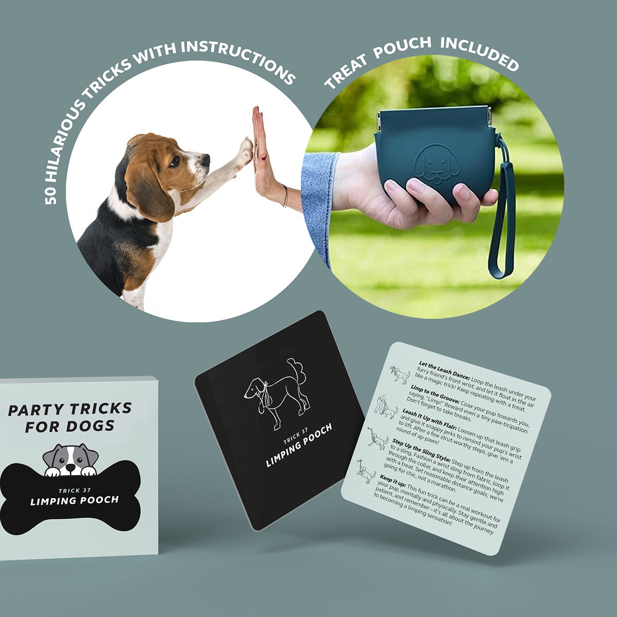 Party Tricks for Dogs