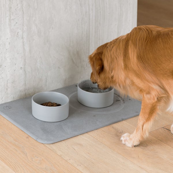 antimicrobial dog food bowl Stone Dog Bowl Mat & Dog Dishes Set Bundle
