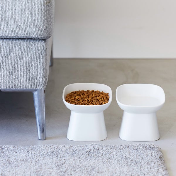 amazon.ca cat litter box CatSpot Starter Kit  CatSpot Litter