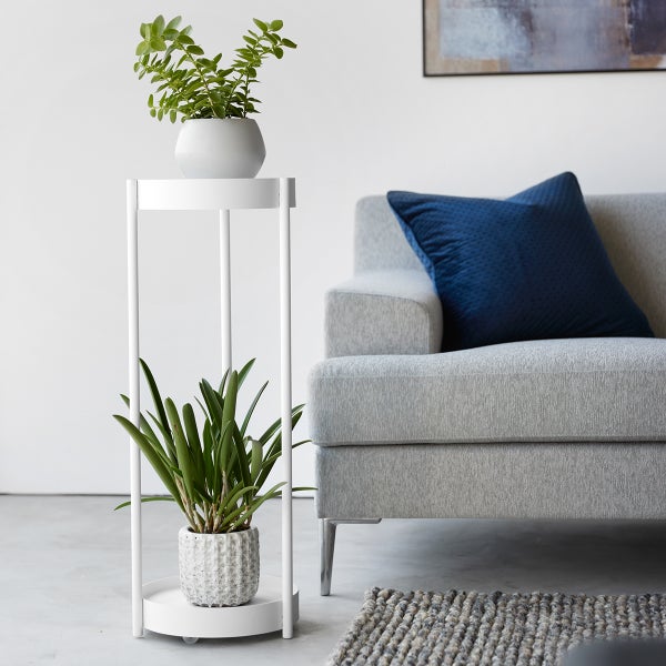 pothos totem 6in Pothos Totem