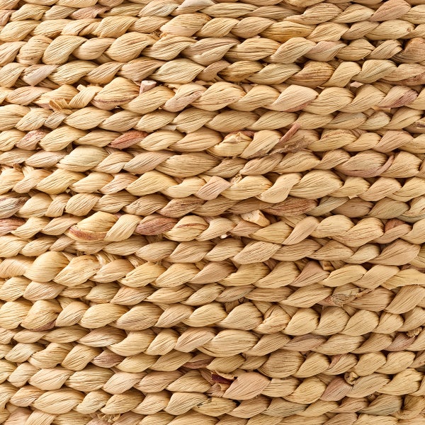 The Container Store Callan Water Hyacinth Belly Basket