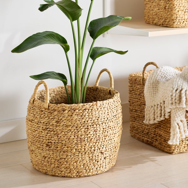 The Container Store Callan Water Hyacinth Belly Basket