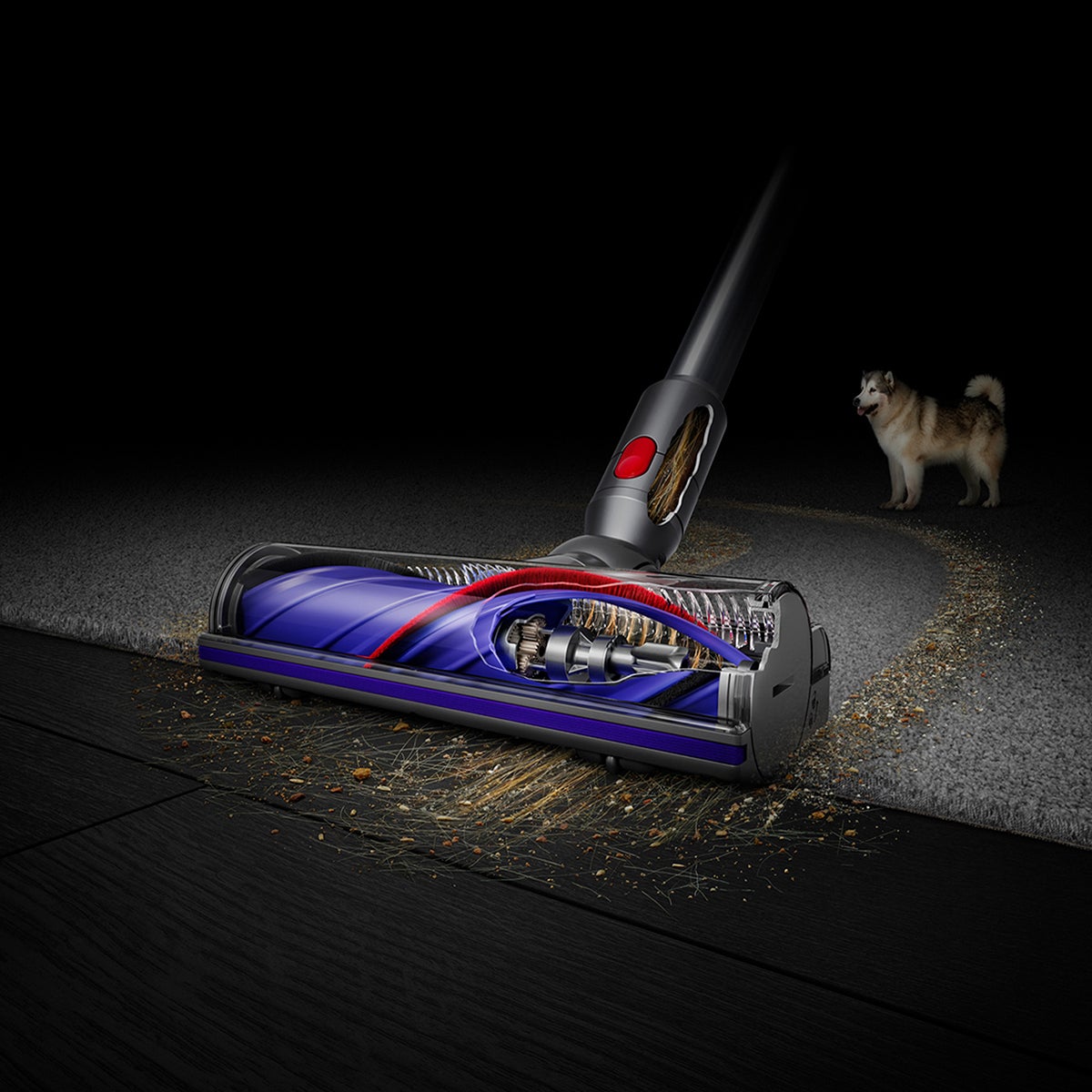 Dyson V8 Detangling Cordless Vacuum | The Container Store