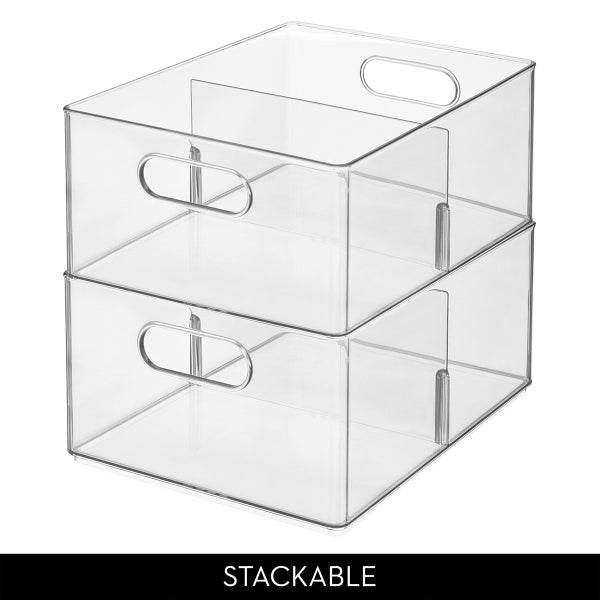 The Home Edit All-Purpose Deep Bin with Divider