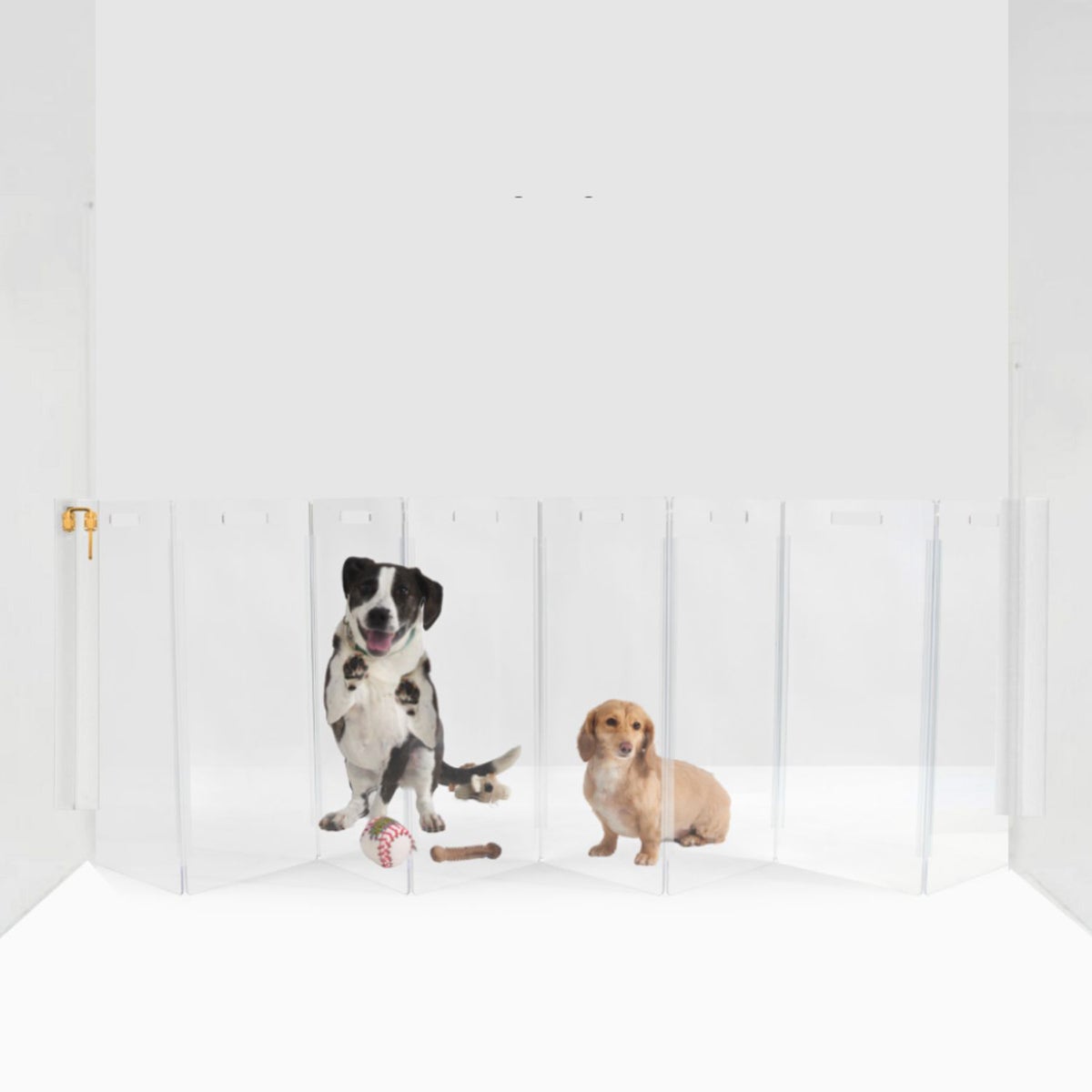 hiddin Clear Wall Mounted Zig Zag Pet Gate | The Container Store