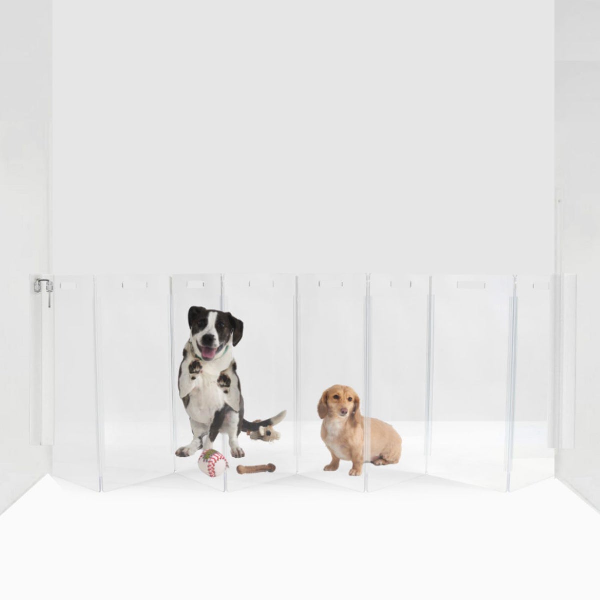 DingDing 旺 PET クリア hiddin Clear Wall Mounted Zig Zag Pet Gate | The Container Store