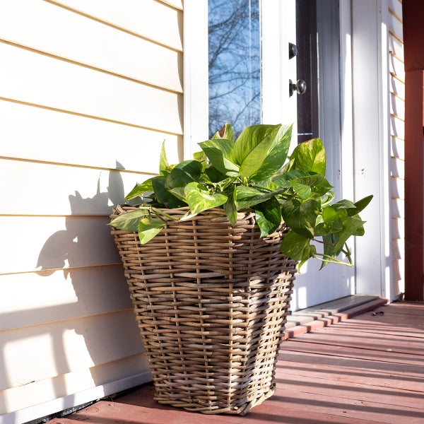 artificial philodendron plants PHILODENDRON 48